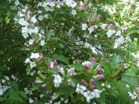 BILD6658.webp