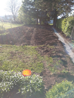 IMG_20170526_193640.webp