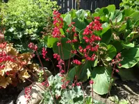DSC09859.webp