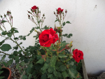 DSC09827.png