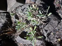 2017-05-27 13.32.10.webp