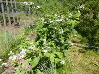 P1020410.webp