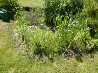 P1020419.webp