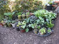 050_1067x800.webp