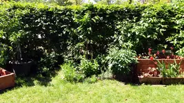 20170526_140958.2.webp