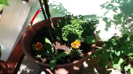 20170526_141044.2.webp