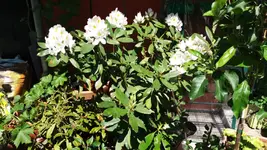 20170526_141054.2.webp