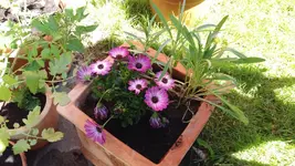 20170526_141253.2.webp