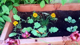 20170526_174202.2.webp