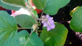 20170526_174239.2.webp