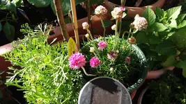 20170526_174318.2.webp