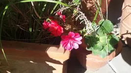 20170526_174140.2.webp