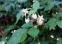 20170526_174526.2.webp