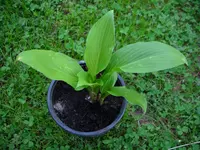 DSCI0225.jpg