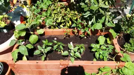20170526_141327.2.webp