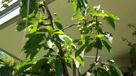 20170526_141415.2.webp