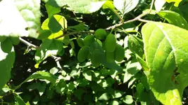 20170526_141544.2.webp