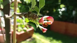 20170526_141901.2.webp