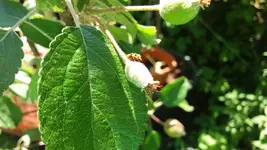 20170527_135912.2.webp