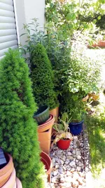 20170526_142521.2.webp