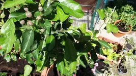 20170526_141337.2.webp