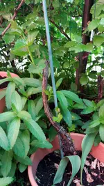20170526_141159.2.webp