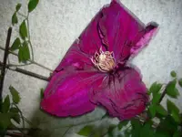 DSCI0232.webp
