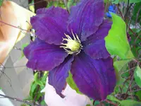 DSCI0233.webp