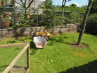 008.webp
