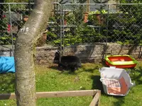 010.webp