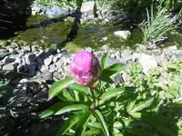 P1000920.webp