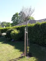 20170528_094923.webp