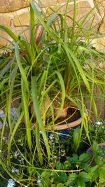 IMAG1405.webp