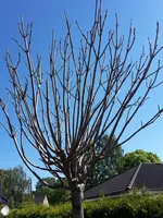 20170528_095047.webp
