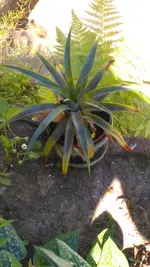 IMAG1397.webp