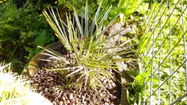 IMAG1394.webp