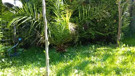 IMAG1389.webp