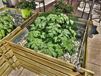 IMG-20170527-WA0000.webp