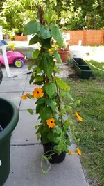 20170528_130008.2.webp