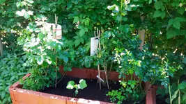 20170528_130043.2.webp