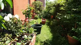 20170528_130104.2.webp