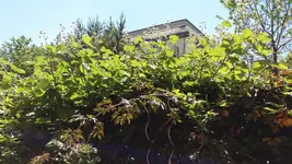 20170528_130635.2.webp
