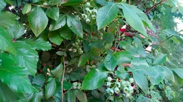 20170528_130341.2.webp