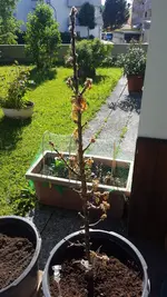 20170526_173246_.webp
