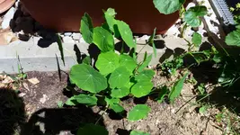 20170528_130233.2.webp