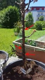 20170528_133615_.webp