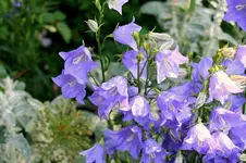 IMG_2588.webp