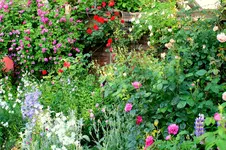 IMG_2629.webp