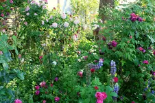 IMG_2634.webp