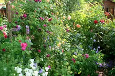 IMG_2635.webp